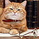 write a structured abstract