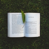 Topics for an analytical essay
