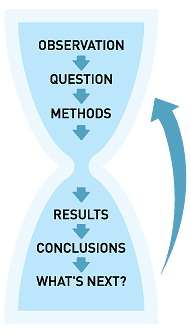 scientific method essay questions